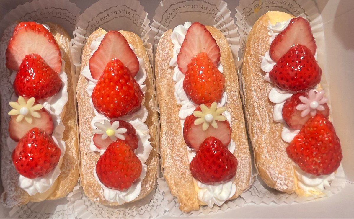 シロクマ。 tweet media