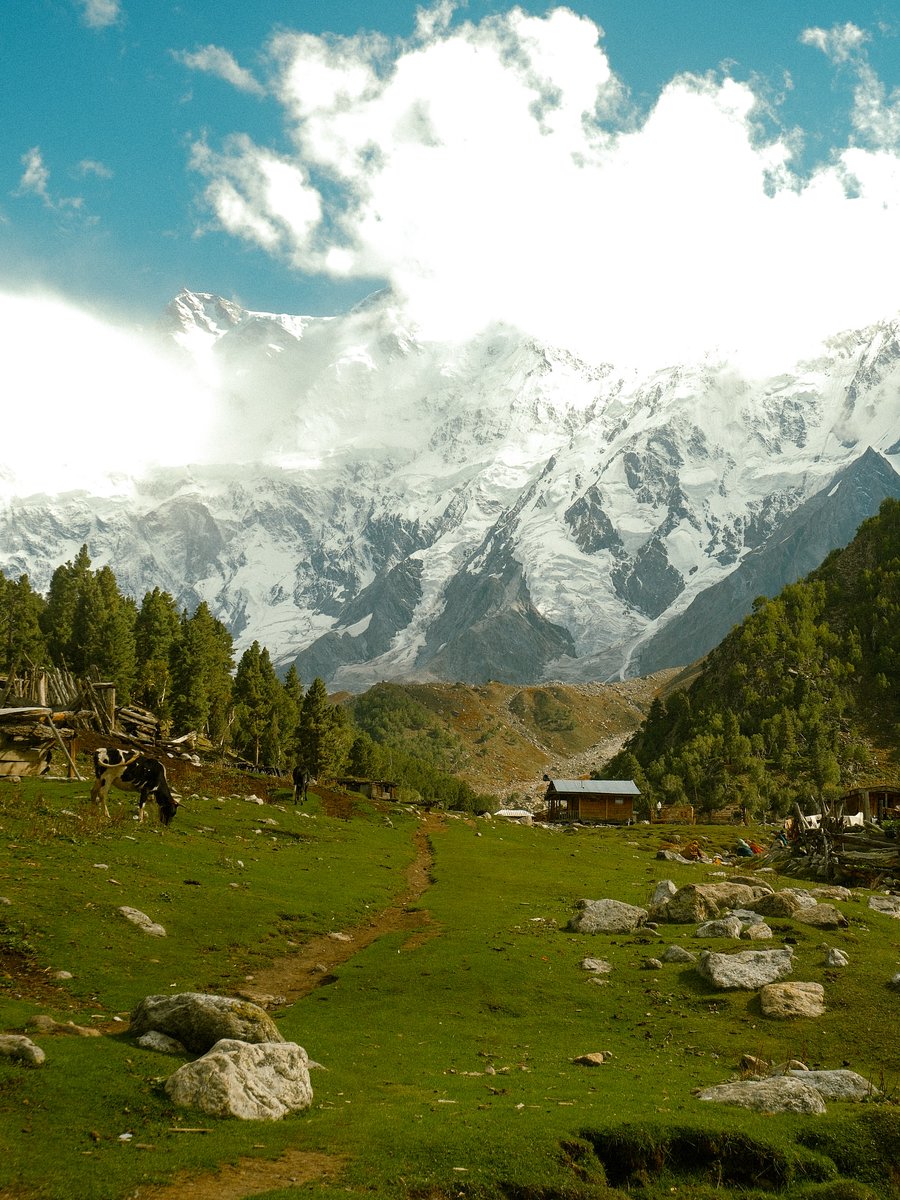 The World tweet media