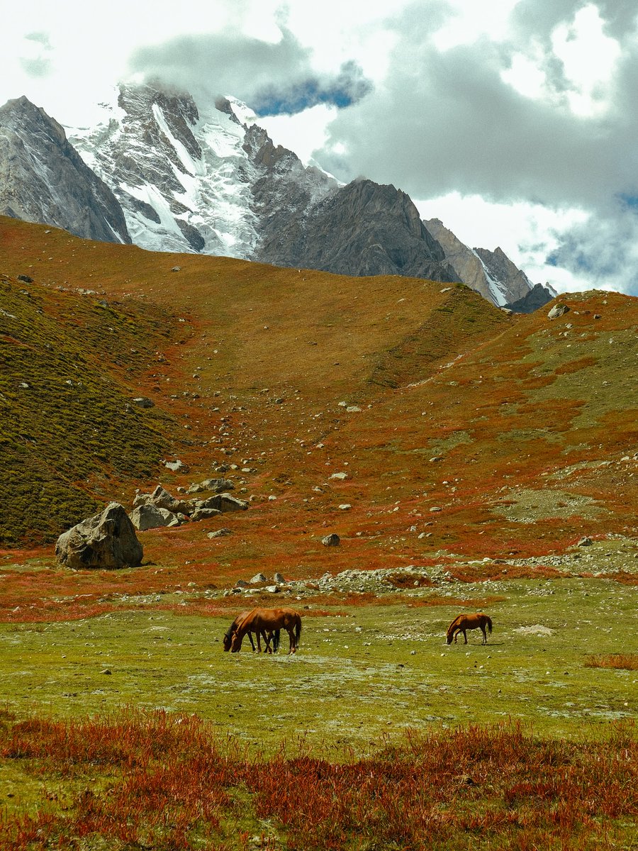 The World tweet media