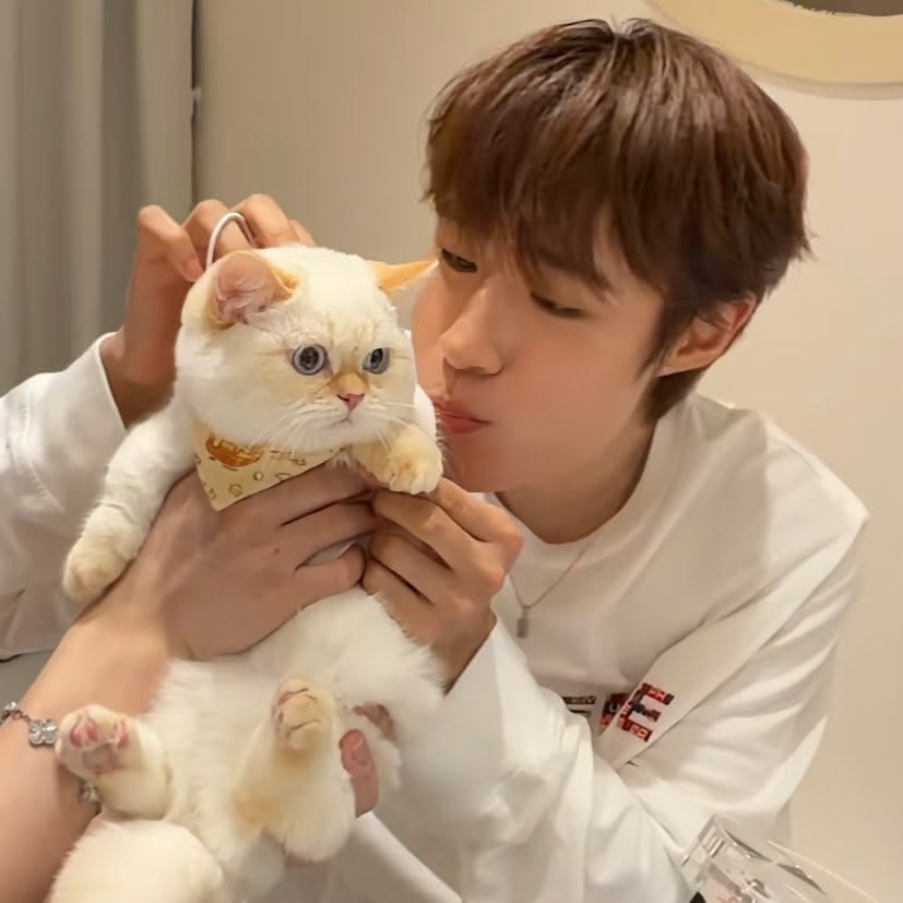 อันดวย ᯓᡣ𐭩 tweet media