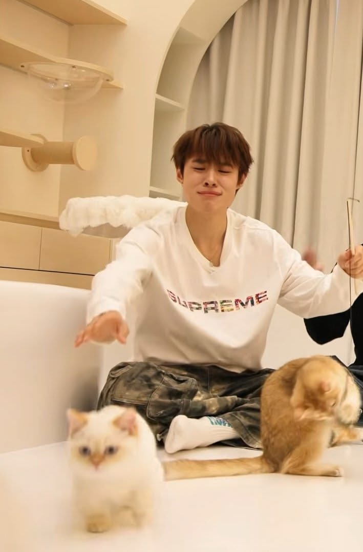 อันดวย ᯓᡣ𐭩 tweet media