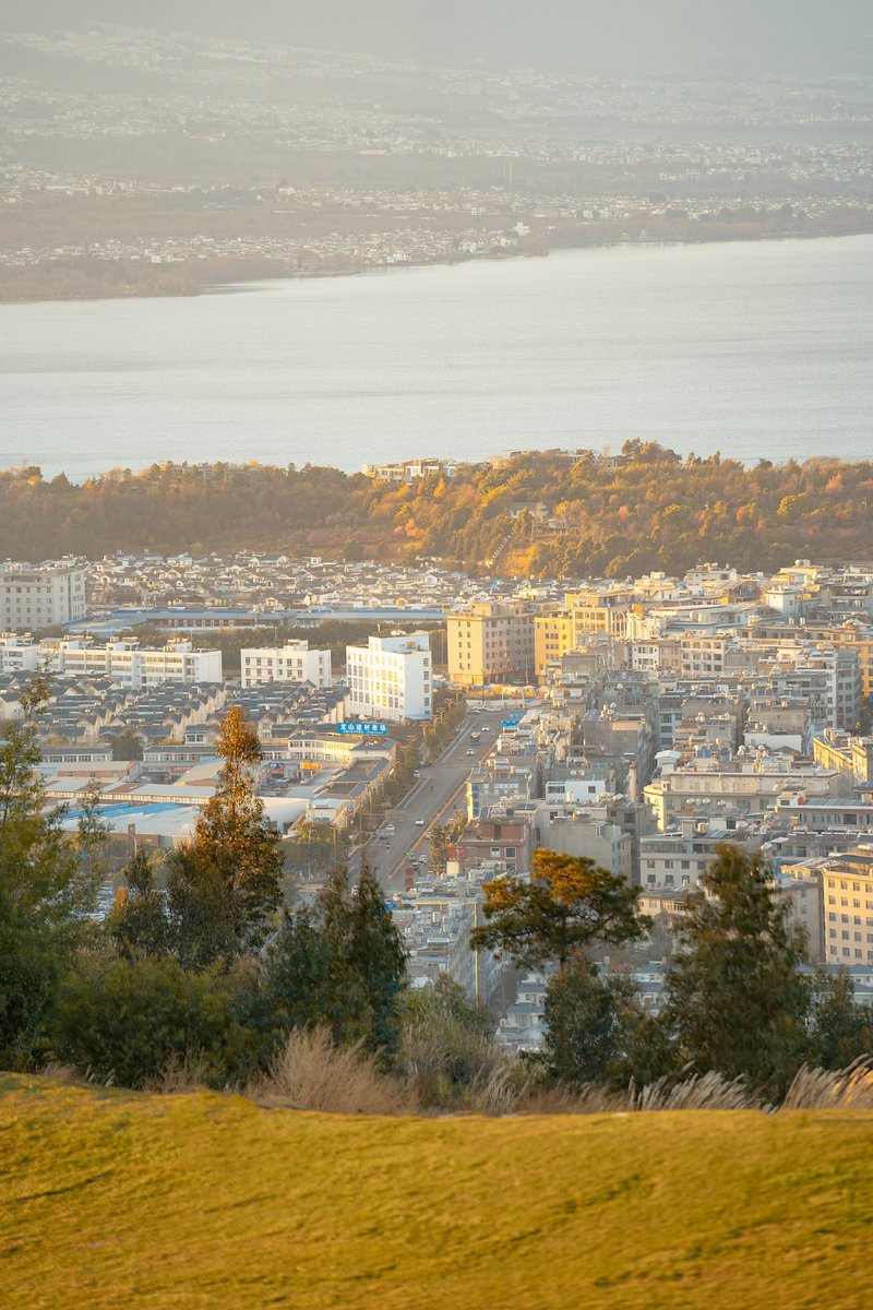 ミゲルくん tweet media