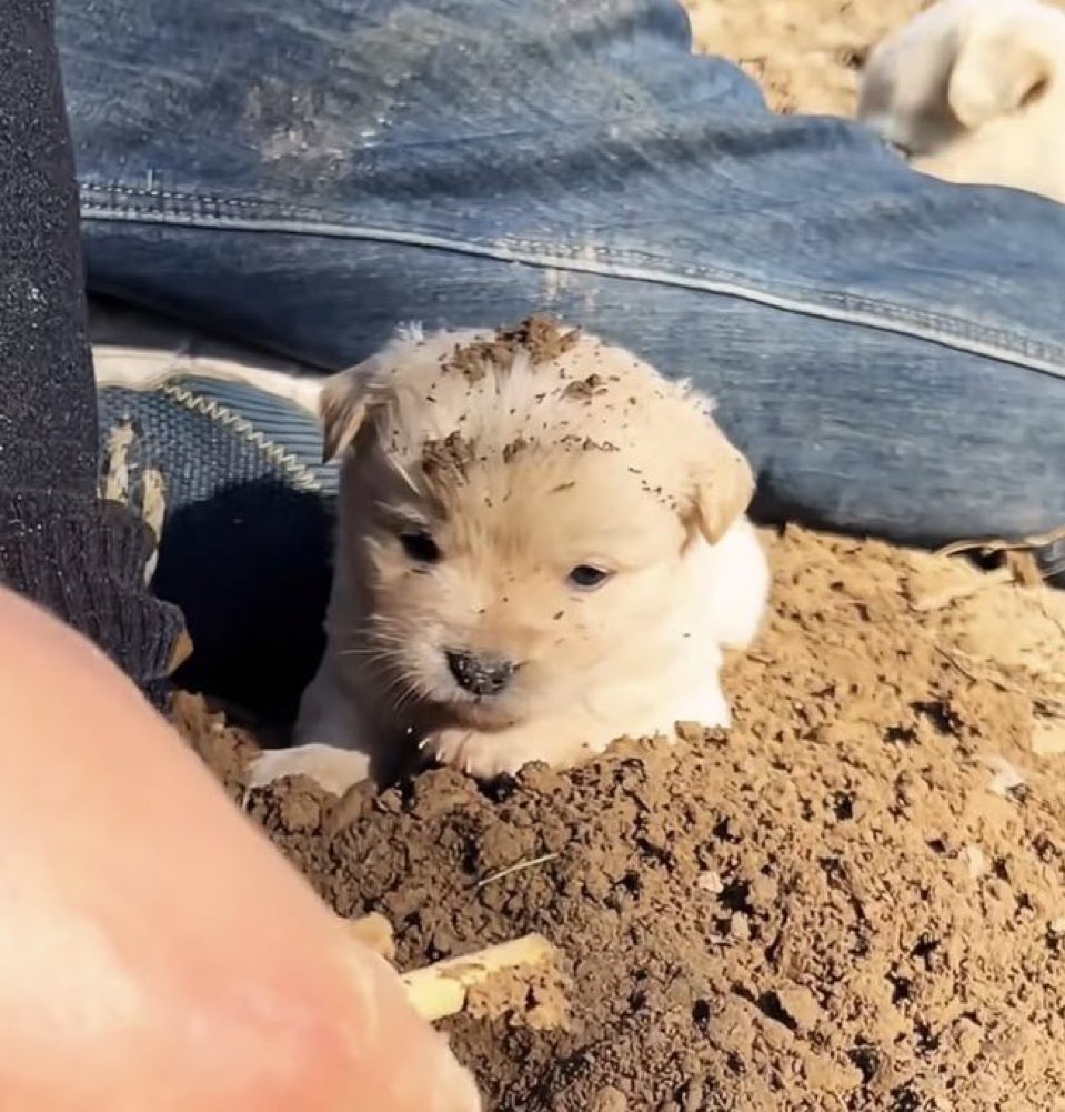 nos 🥬 บันทึกรักการอ่าน (ยุ่ง/ตอบช้ามาก🚨) tweet media