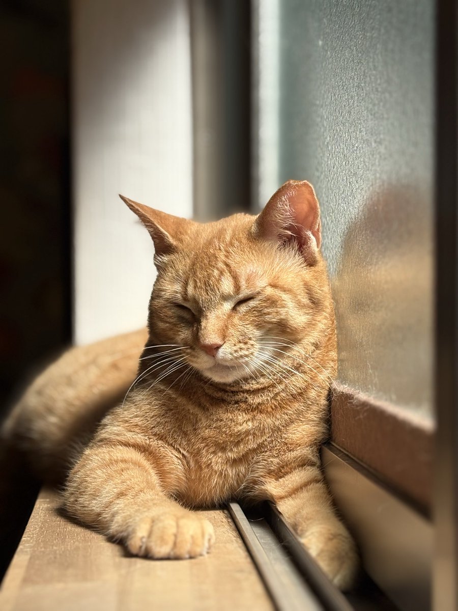 ななみ tweet media