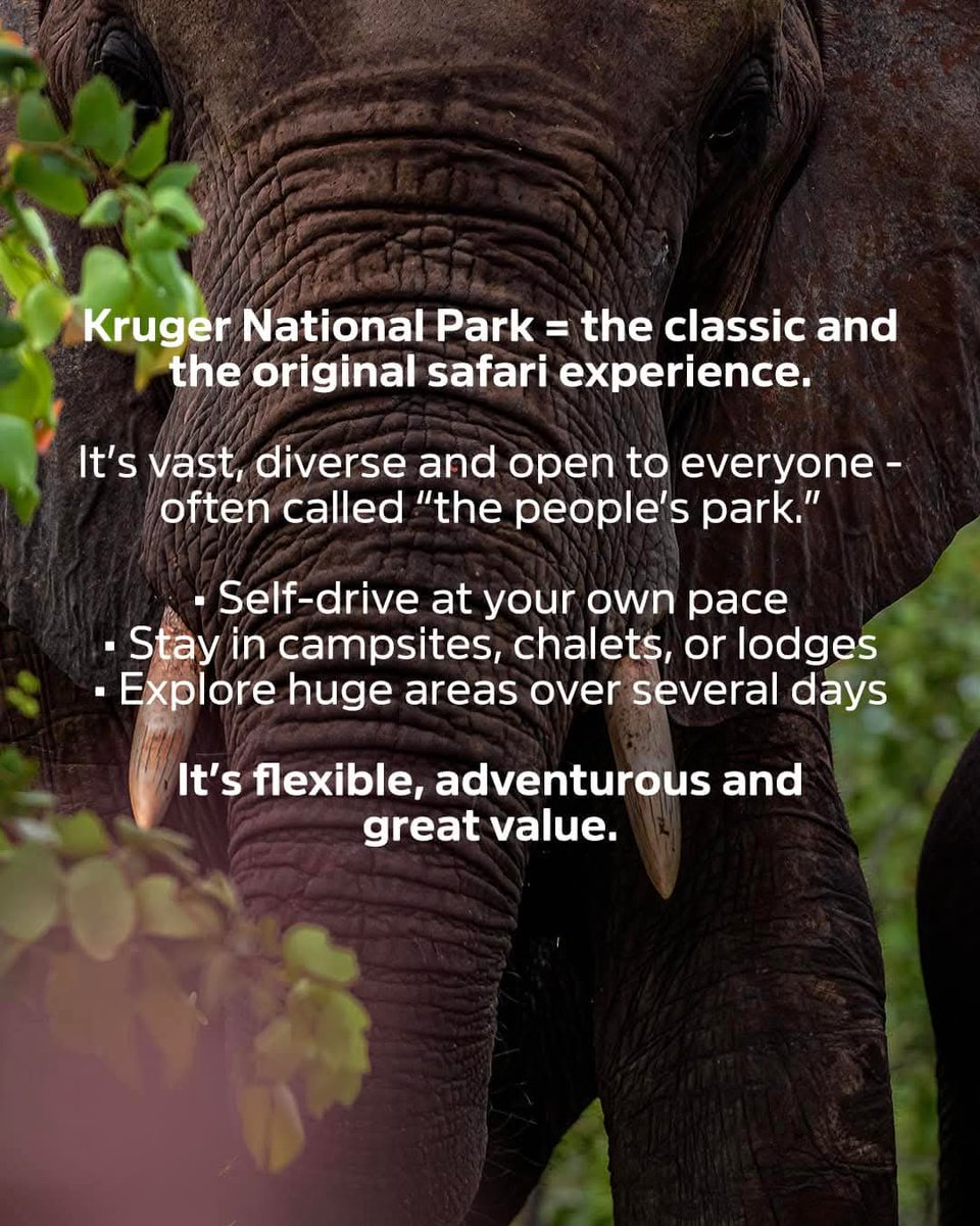 Profound Travel and Tours tweet media