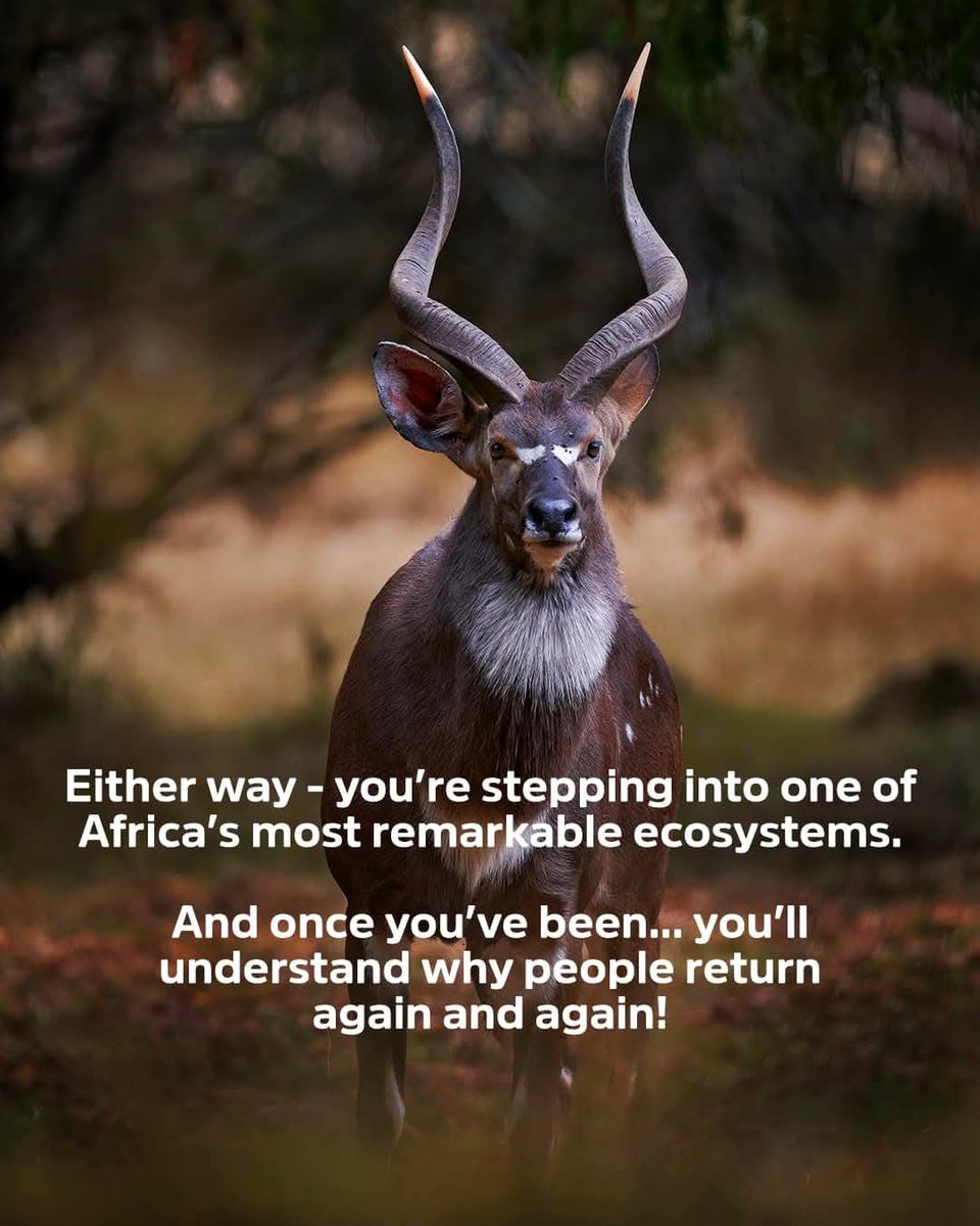 Profound Travel and Tours tweet media