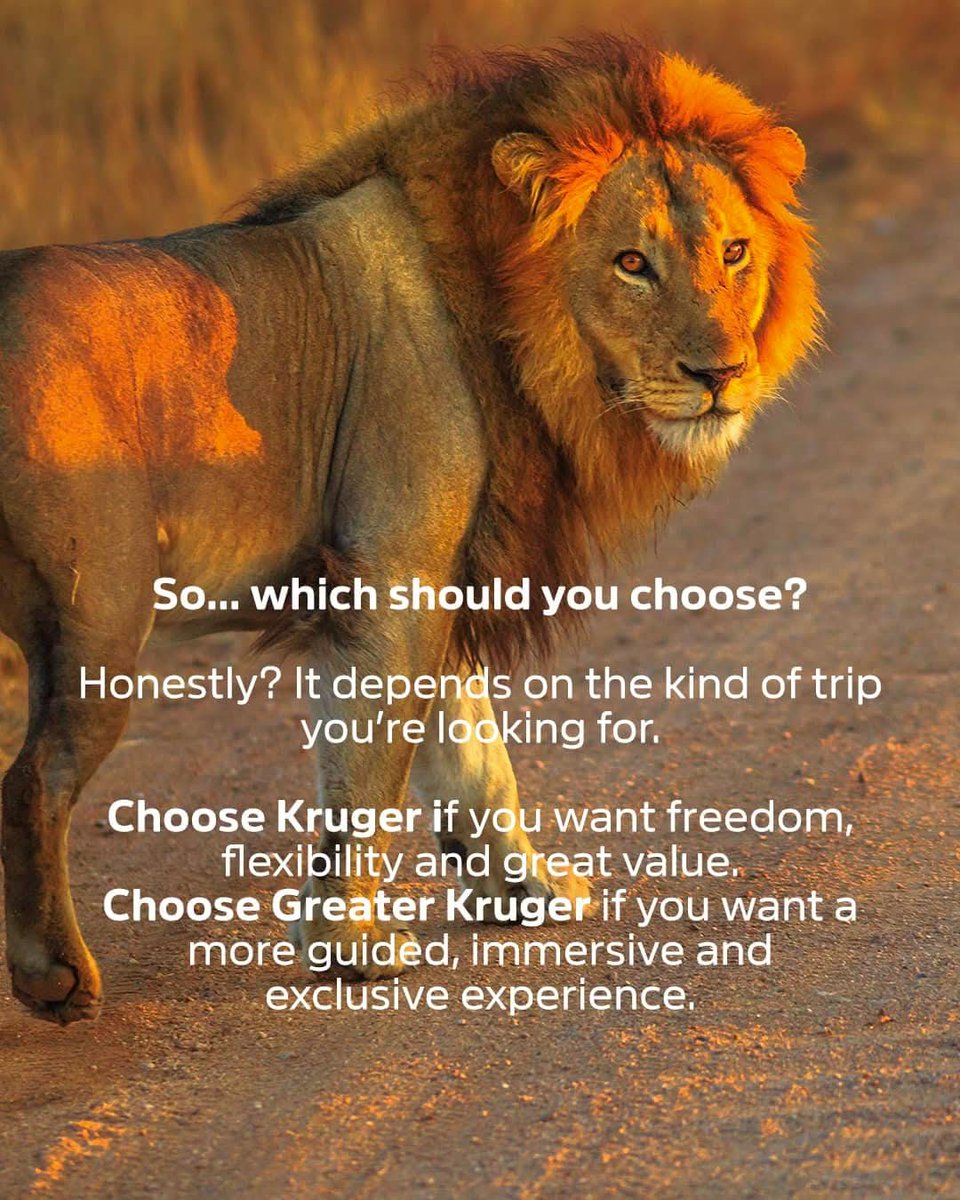 Profound Travel and Tours tweet media