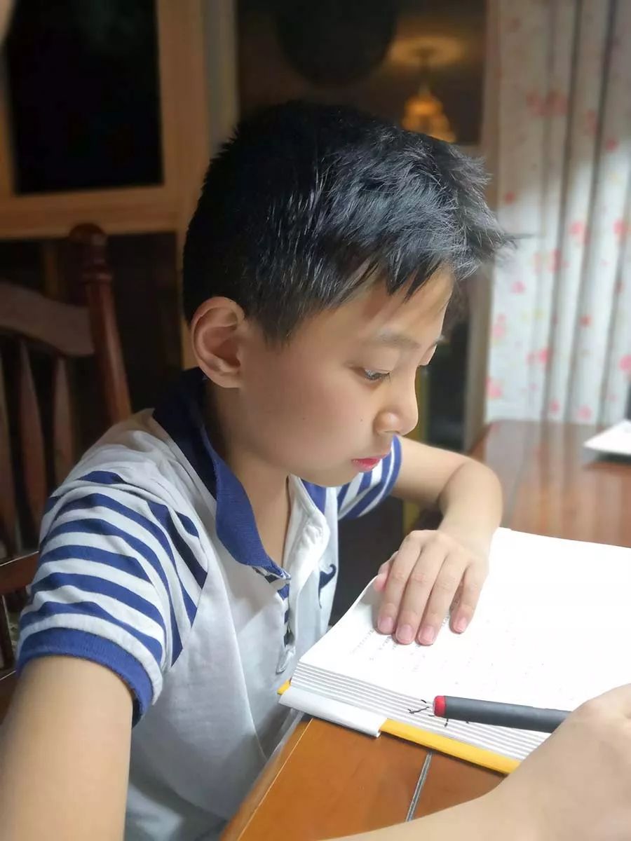 mohammed tweet media