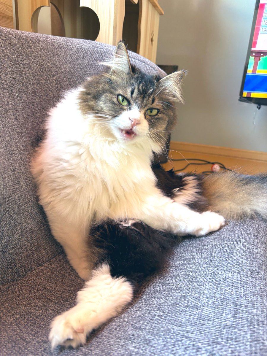 さくっち＠Ｂ&Ｃ tweet media