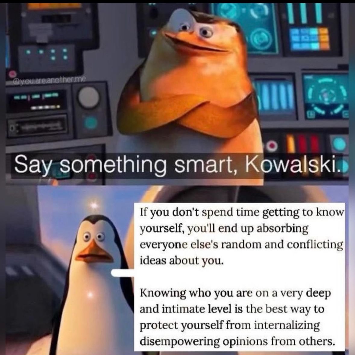 Cole Jaczko (@colejaczko) on Twitter photo 