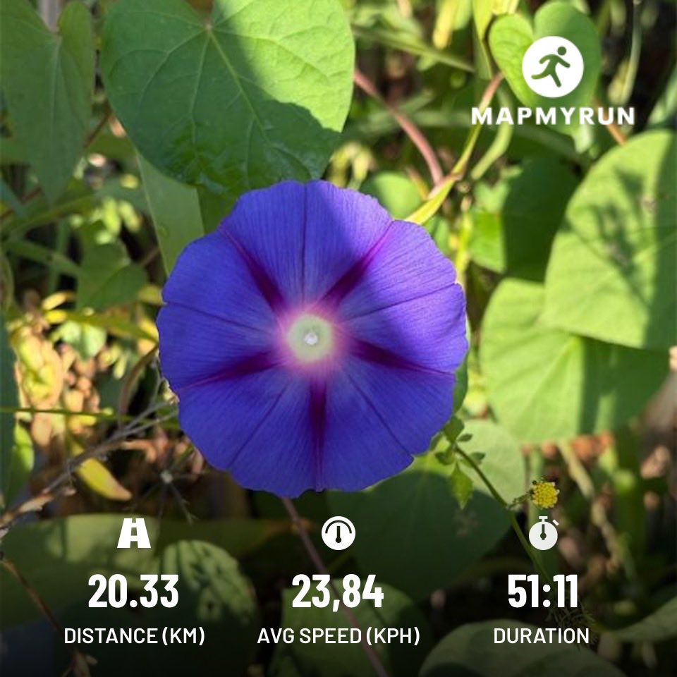 Grippa77's tweet image. KeepMoving 20k #Cycle #MapMyRun #Cycling #RunFree