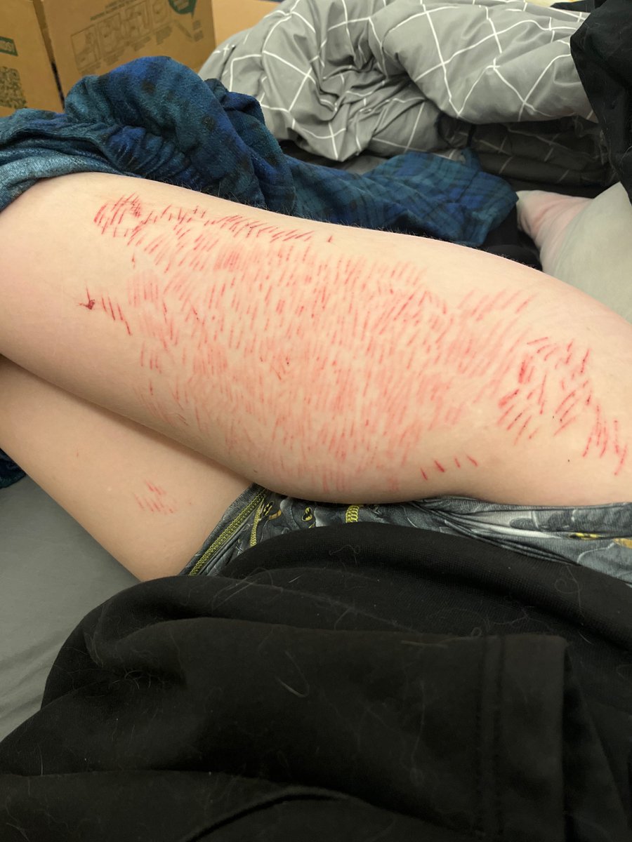 Dum pup of #shedtwt tweet media