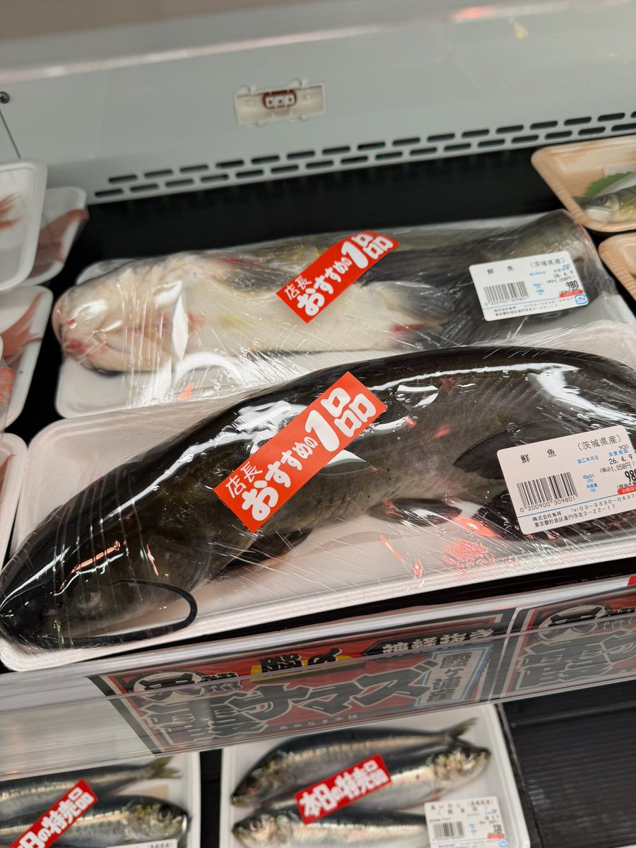 ゆうすけ tweet media