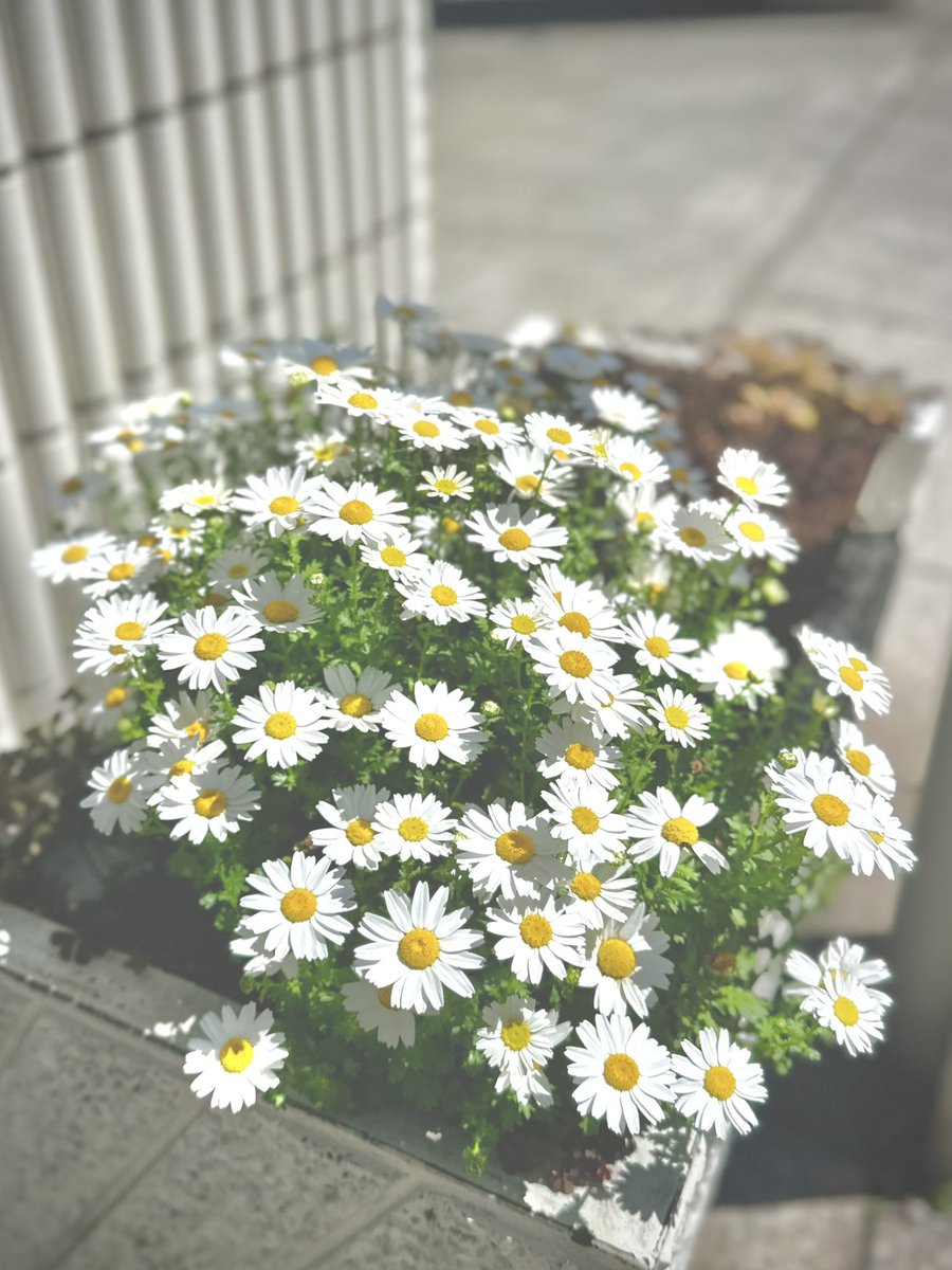 Keith Noon tweet media