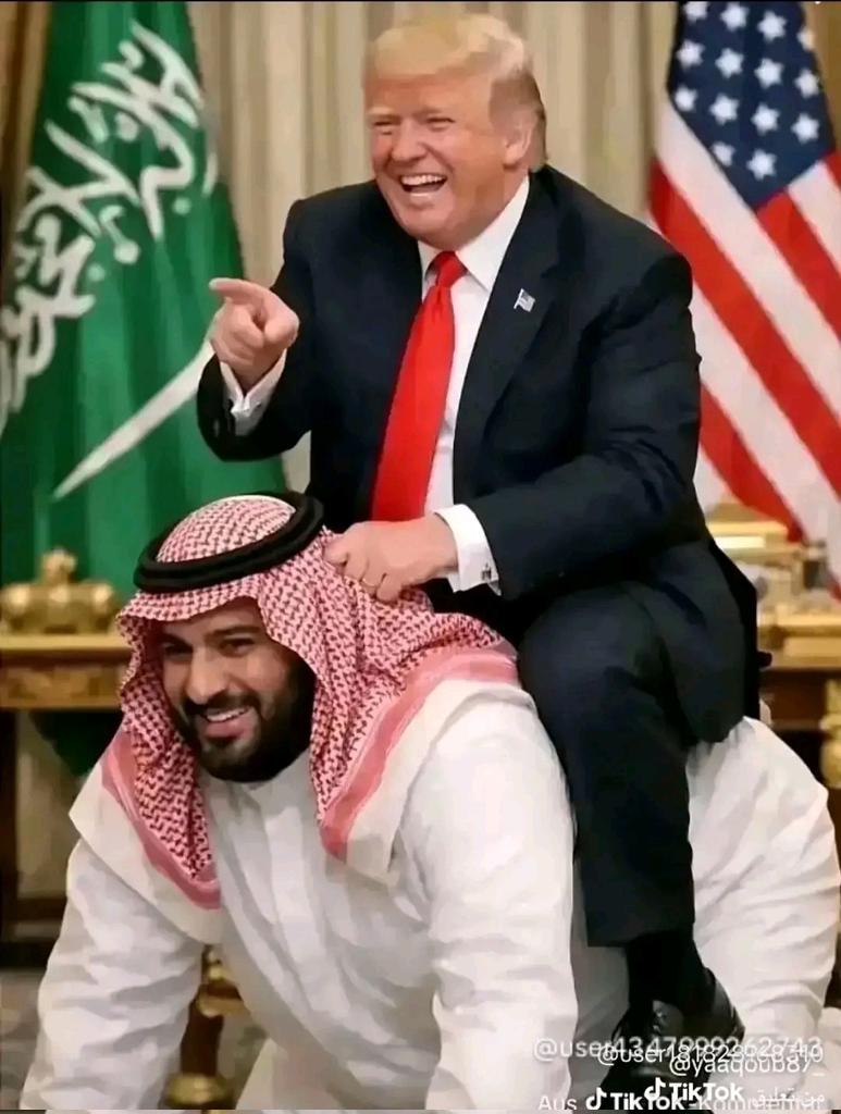 ضمير مستتر الربيع tweet media