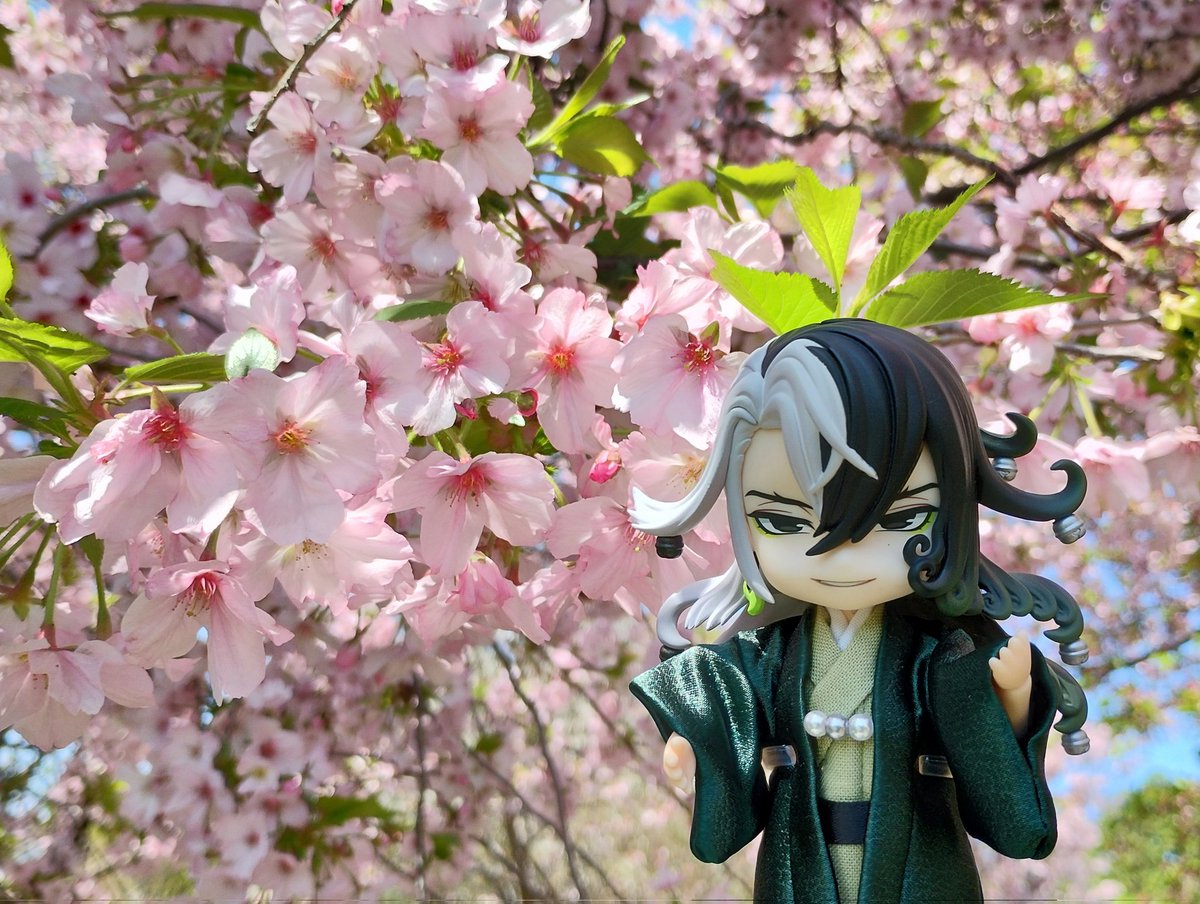 朝活だよどーまん！🌸