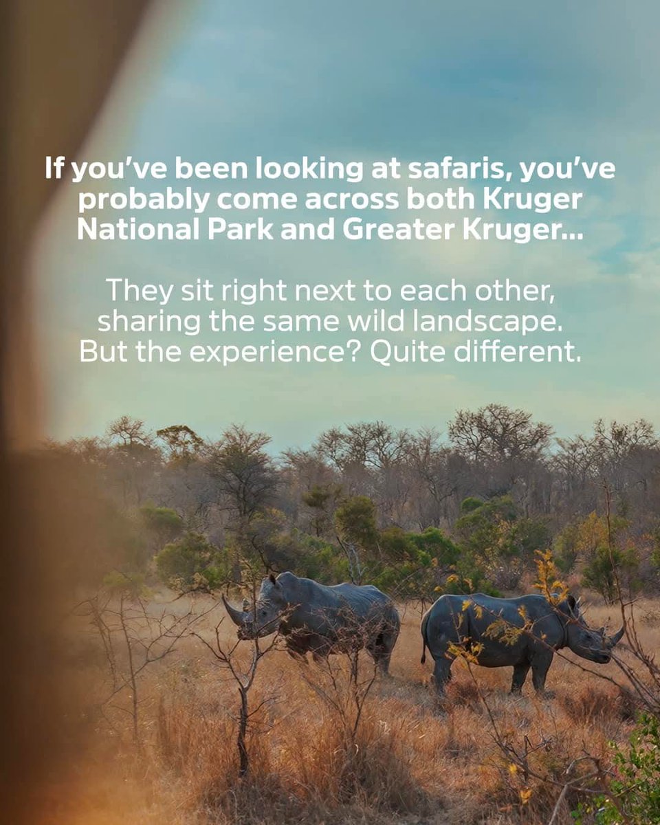 Profound Travel and Tours tweet media