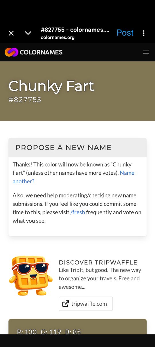 Drew 🇺🇸 tweet media