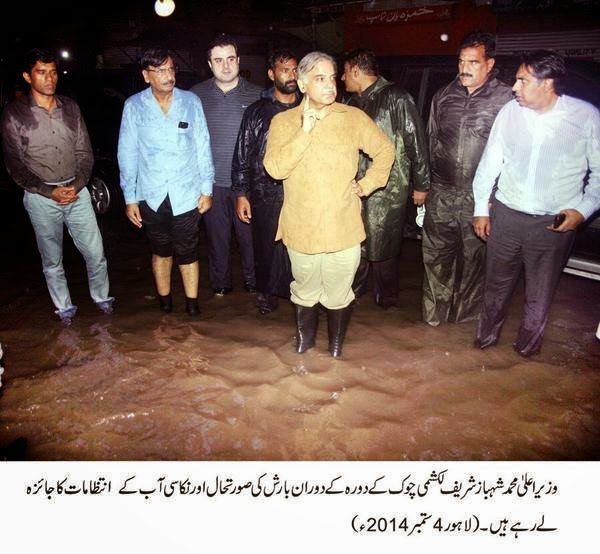 Ali Aqa Gardezi tweet media