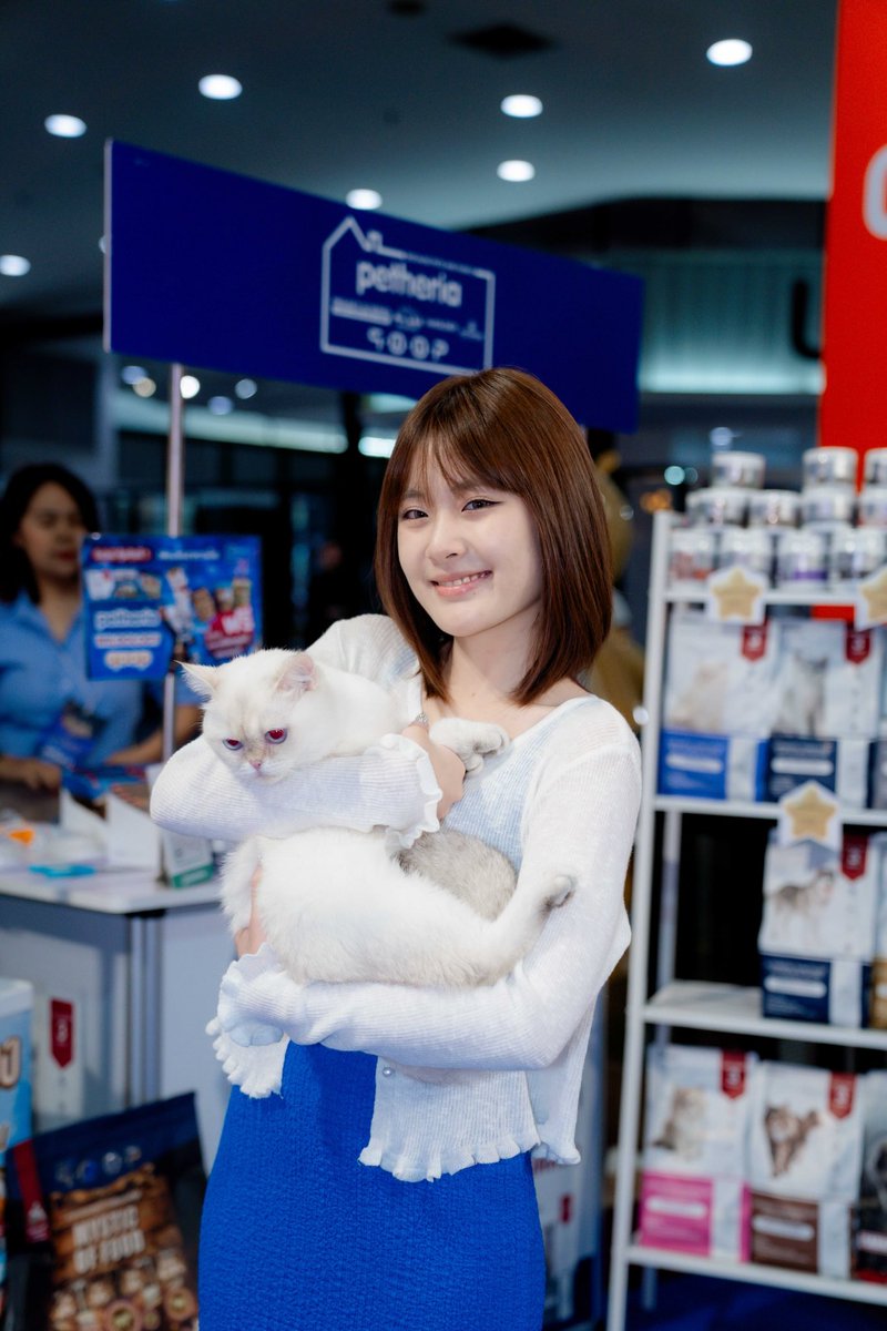 jTermMaew's tweet photo. แอบเก็บภาพบรรยากาศ “เจไปเติมแมว”
ที่งาน petheria THE DESTINY FAMILY WITH ZeeNunew มาฝากค่ะ 🐱🥰

#jtermMaew #jjNaracha #NarachaCover #เจเติมแมว #เติมแมวกับเจเจ https://t.co/O0UlZS9K19