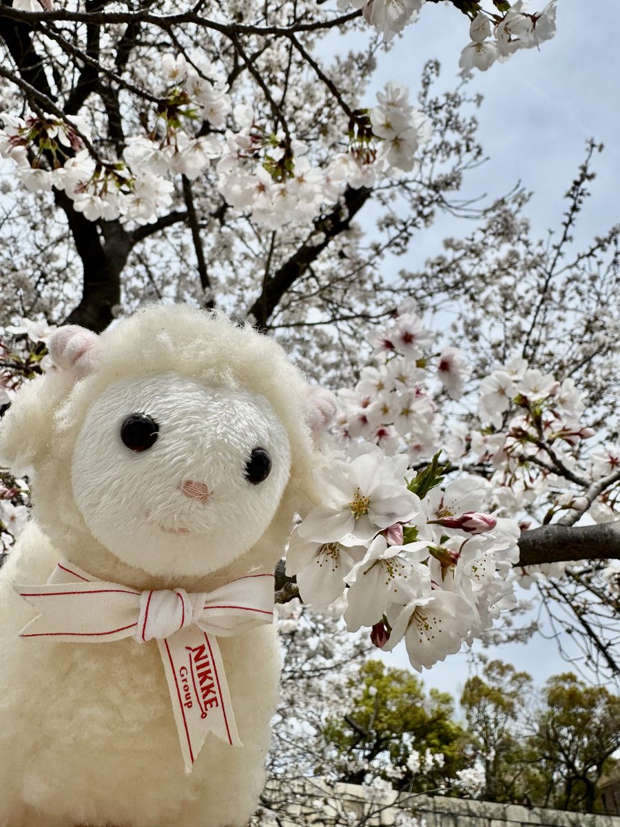 ニッケ【公式】う〜るん tweet media