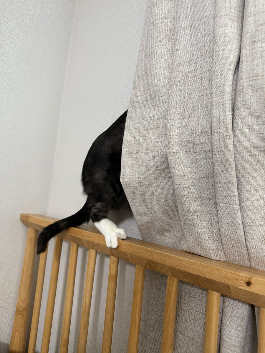 이순희 tweet media