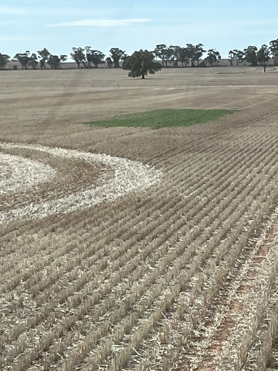 Jamie Pursehouse tweet media