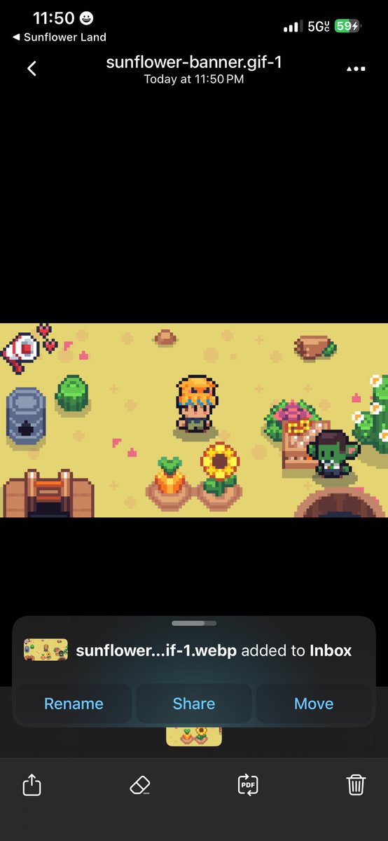 joelundine's tweet photo. #SunflowerLandWeekly https://t.co/oQBER3zHKO