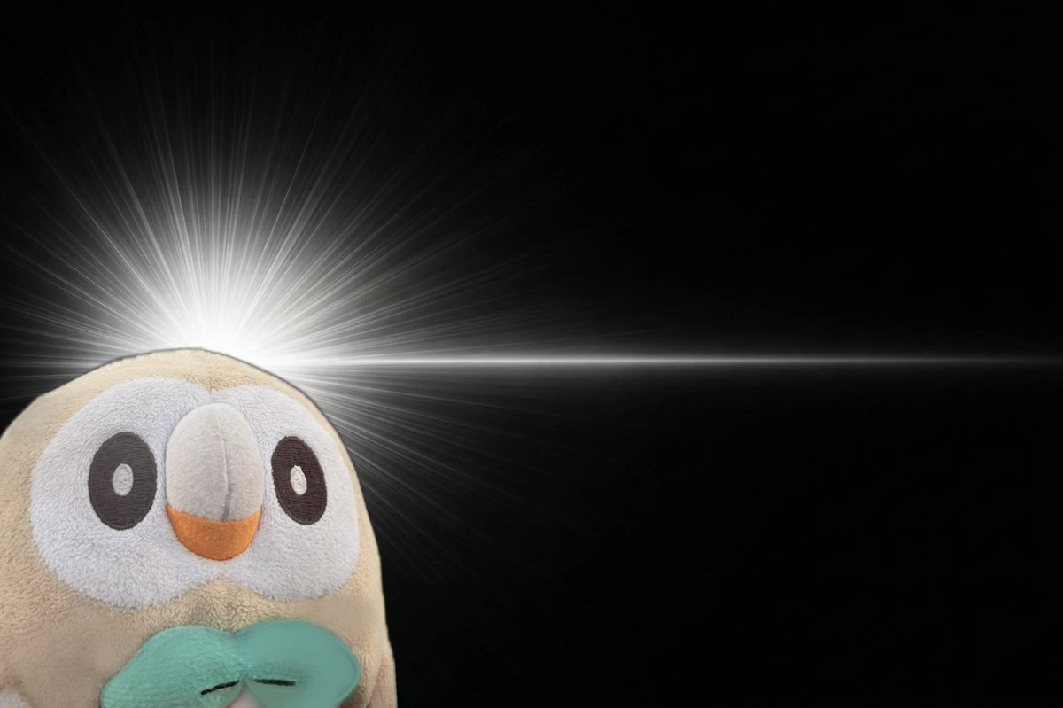 ひよ (@mokuroh_master) on Twitter photo 