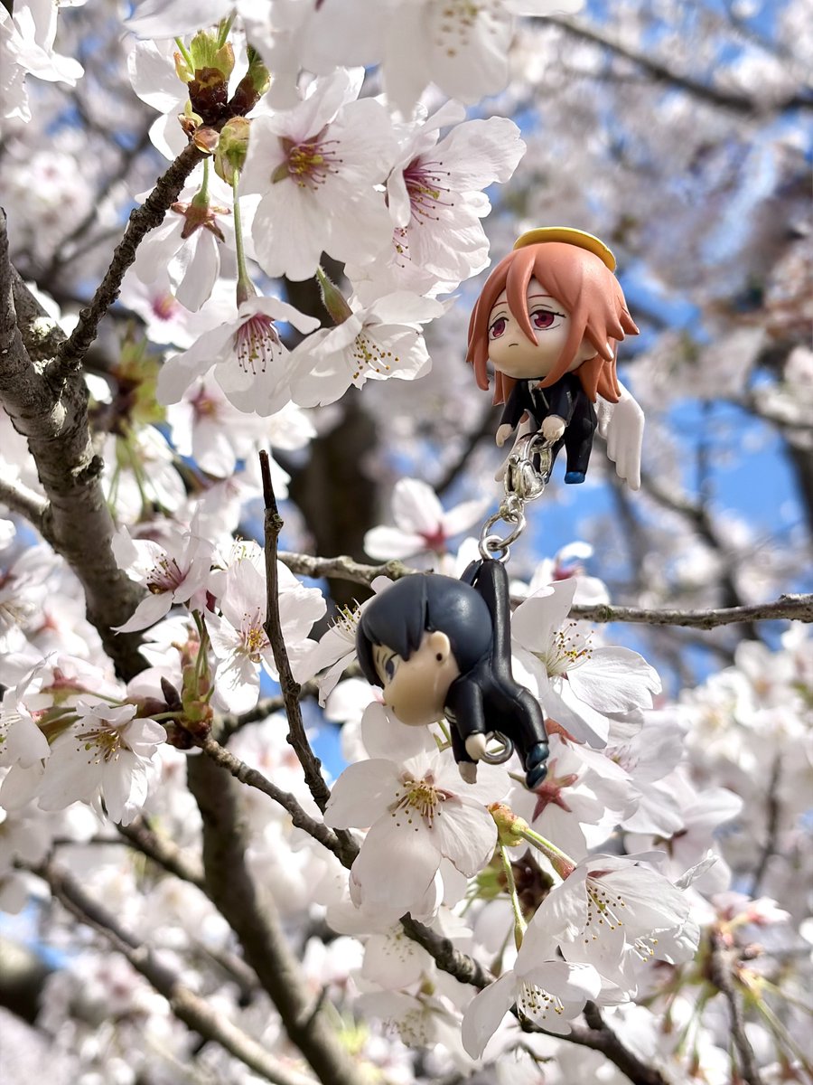 ぺきもく tweet media