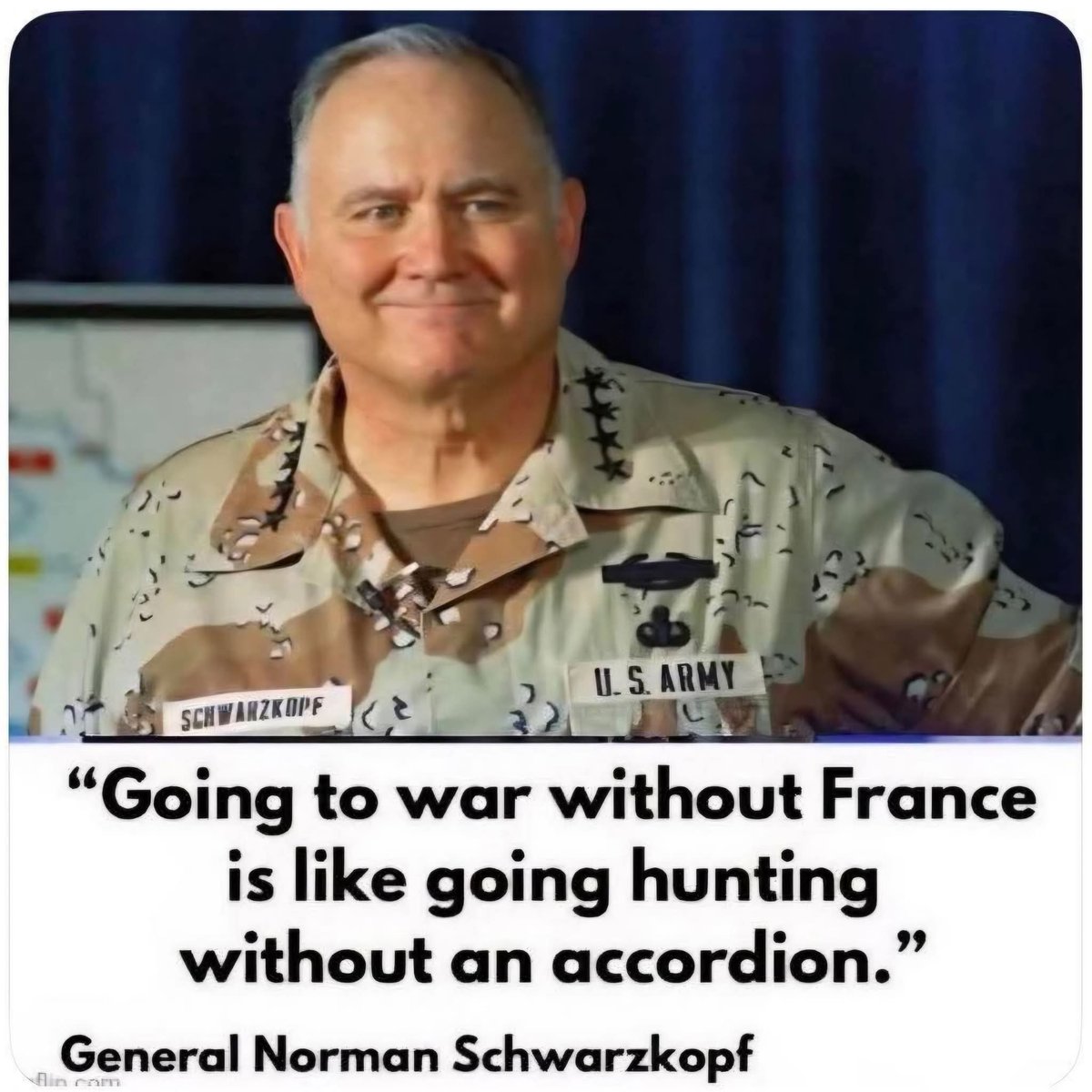 GUSTAVO GIGGLE tweet media