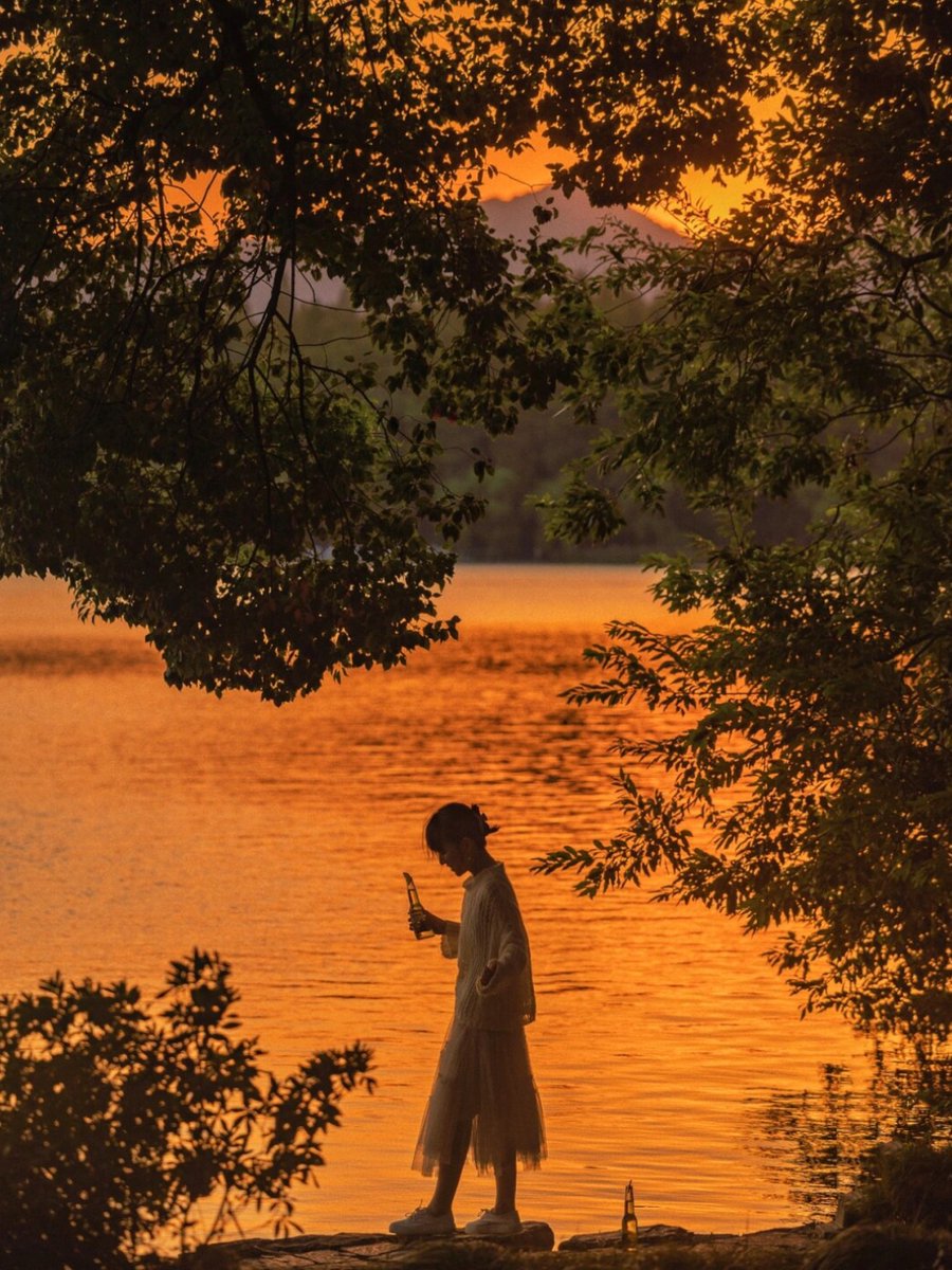 mary ellen campion tweet media