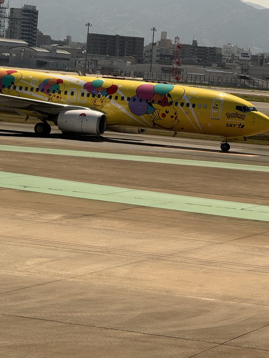 のぶちん。 tweet media