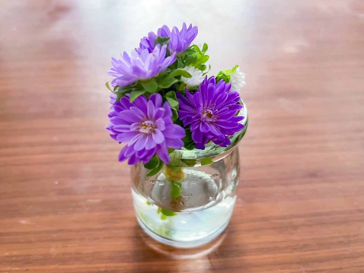 ましろちゃん🐺2y tweet media