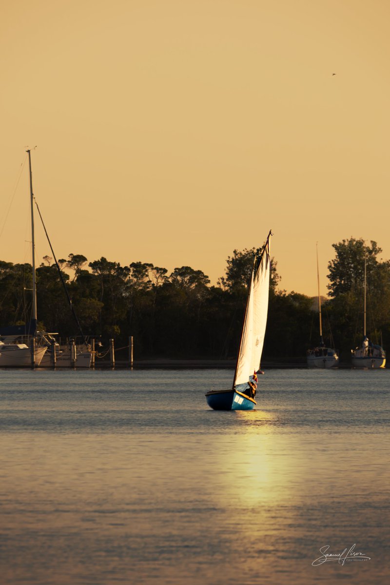 SamuelLison's tweet photo. A lone sailor drifts through golden late-afternoon light near Raymond Island, the sail glowing against still water and shadowed trees. A quiet Gippsland moment caught from the ferry. #RaymondIsland #Photography #Victoria #GoldenHour #Sailing https://t.co/1L8FFcb590