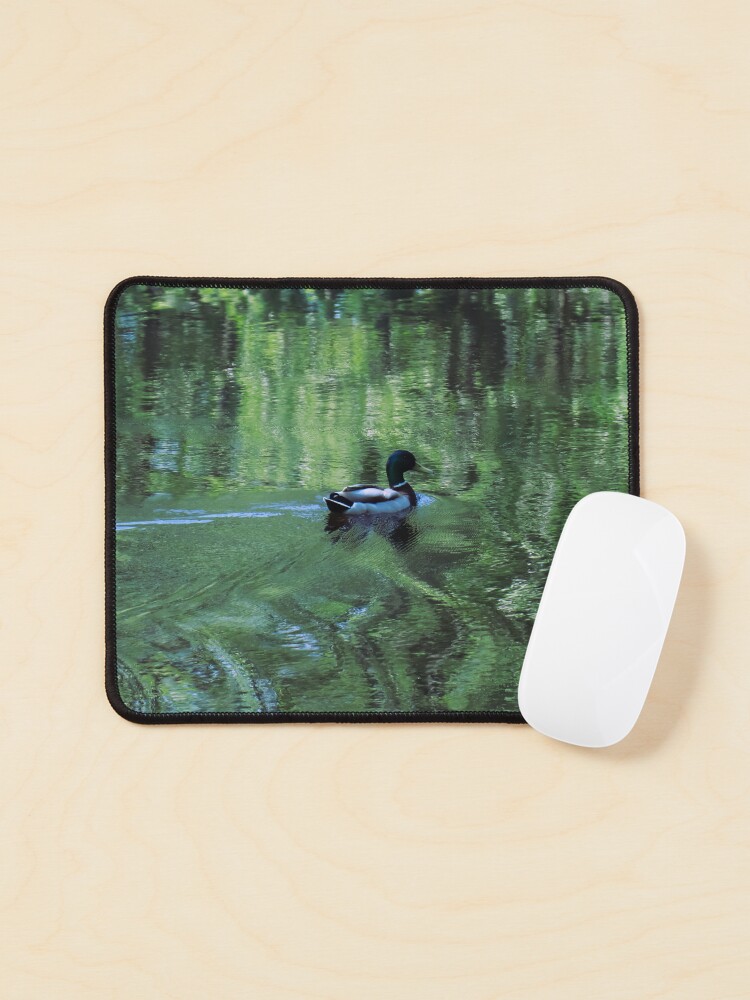 HurmerintaArt's tweet image. A wonderful mallard swimming in a small sea bay. The green tree branches make amazing reflections on the water. 

redbubble.com/i/notebook/A-M… #notebooks #phonecases #wallart #pouches #mousepads #mallard