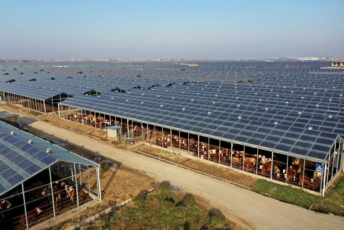 Munezero Cedric tweet media