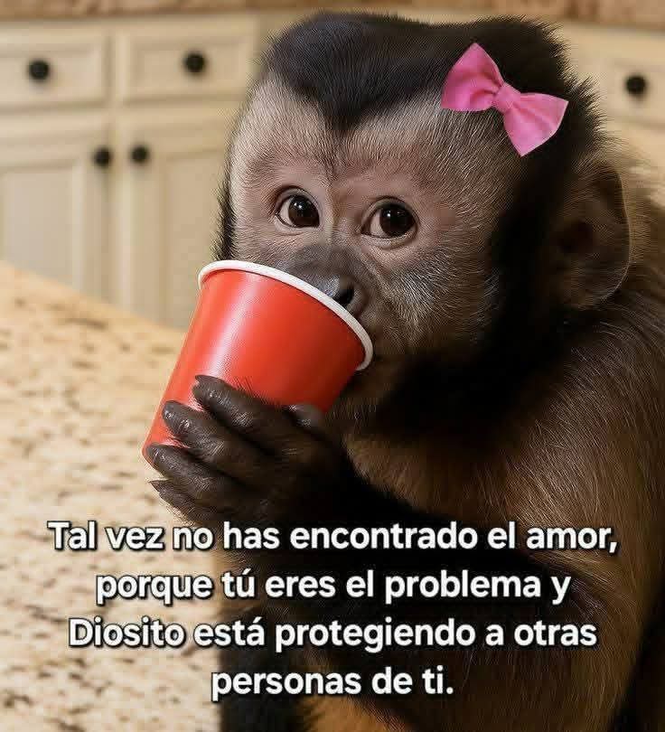 Anahí Carrillo Carrillo tweet media