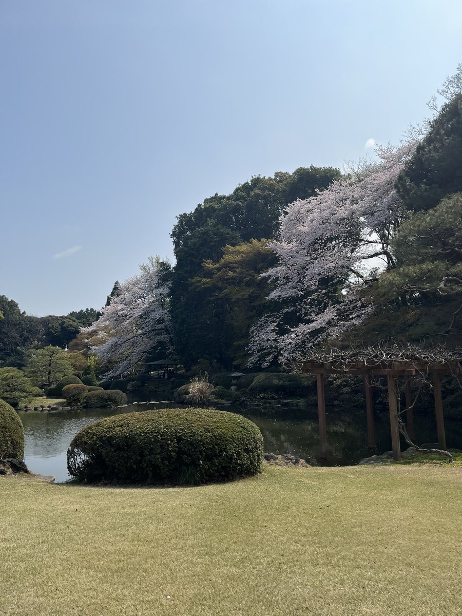 君崎友梨夏@4/17おむすびシアター出演 tweet media