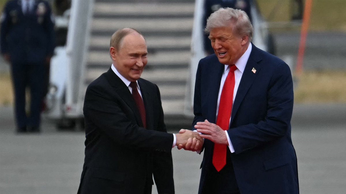 Katrin Second tweet media