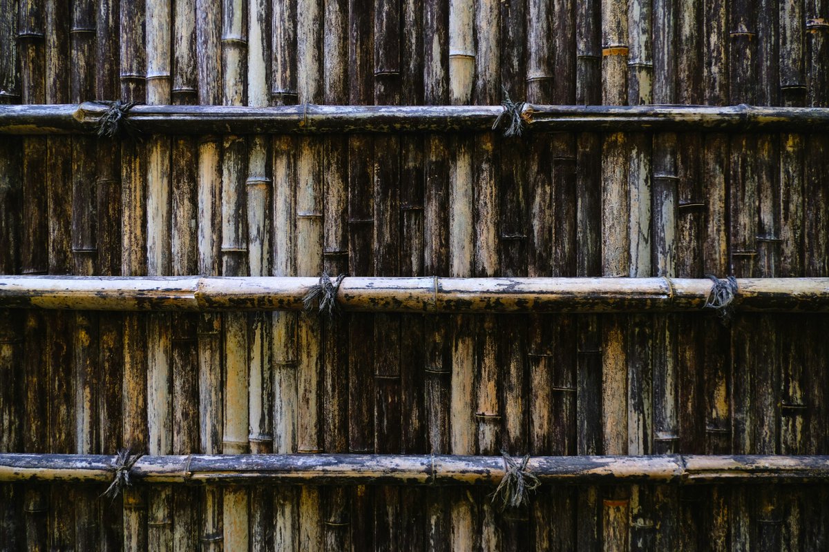 flavio_stochino's tweet image. Glad to share our latest work on long-term creep of cross-laminated #bamboo–timber systems: 180-day tests + probabilistic modelling for reliable prediction and performance-based design of sustainable bio-based structures
sciencedirect.com/science/articl…
#StructuralEngineering #Sustainable