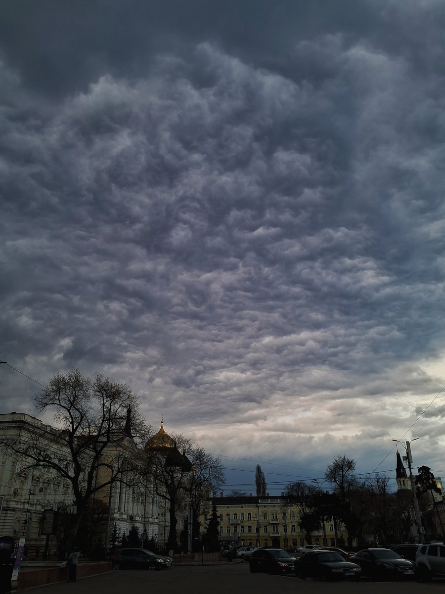 записки на коленках | hanna tweet media