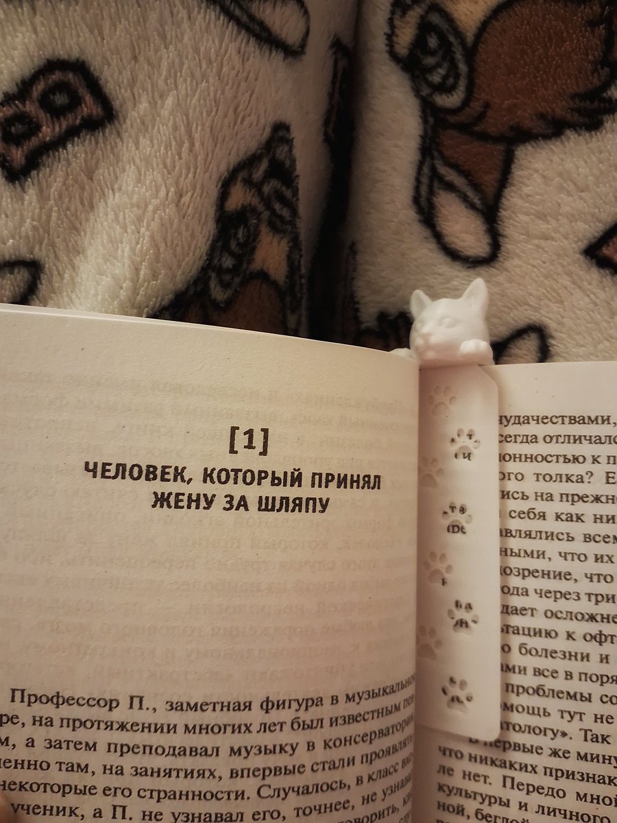 записки на коленках | hanna tweet media
