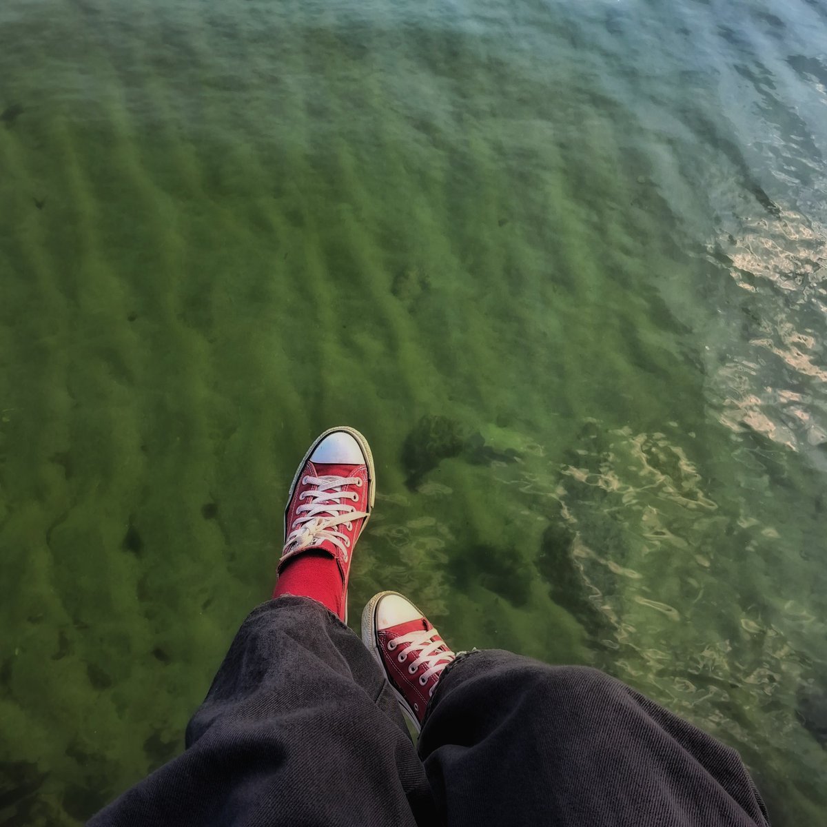 записки на коленках | hanna tweet media