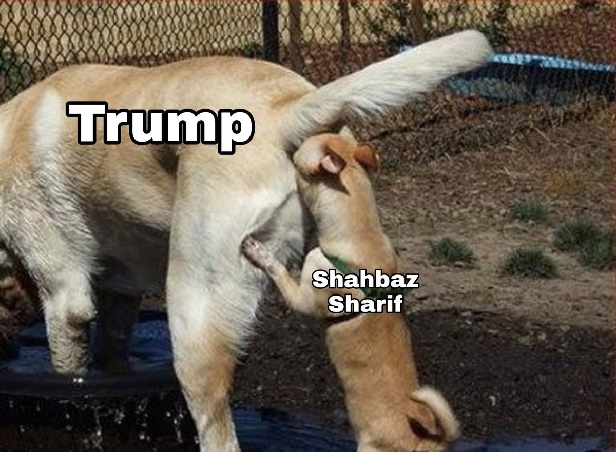 STEEL- X 😎 tweet media