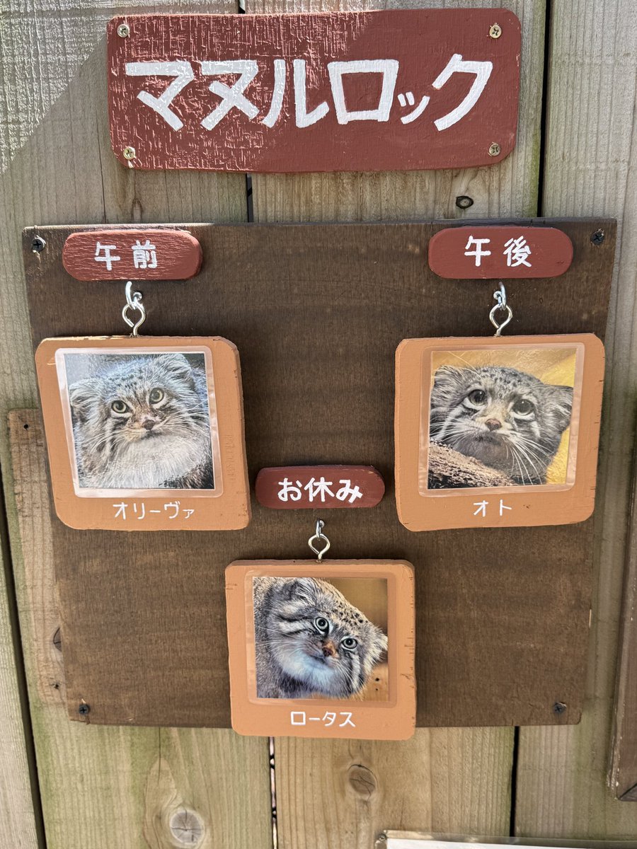 あっぴ tweet media