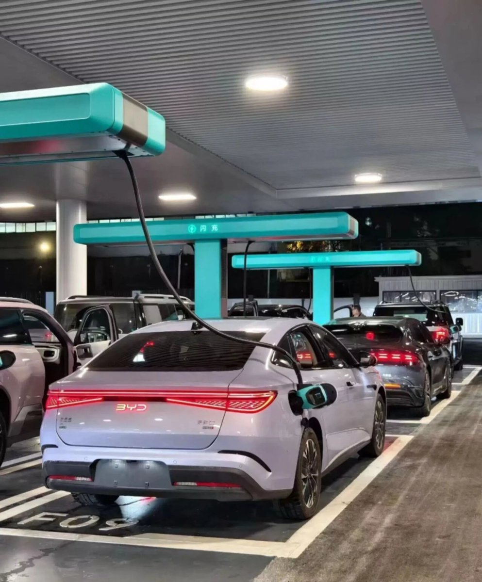 Elvis Will Vexillary 🔋 tweet media