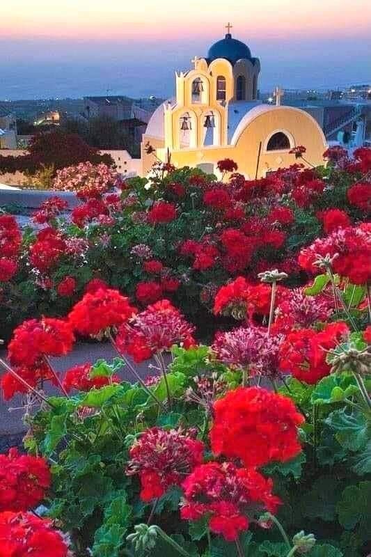 katerina alex tweet media