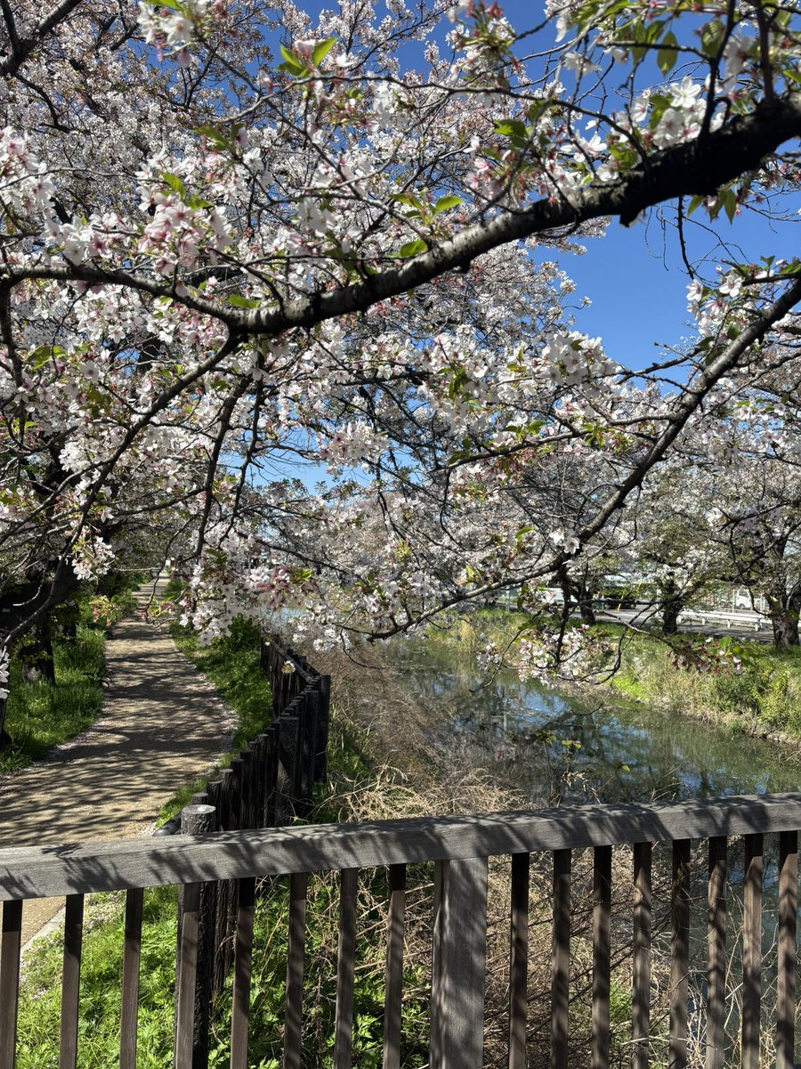 TAKAGI  H tweet media