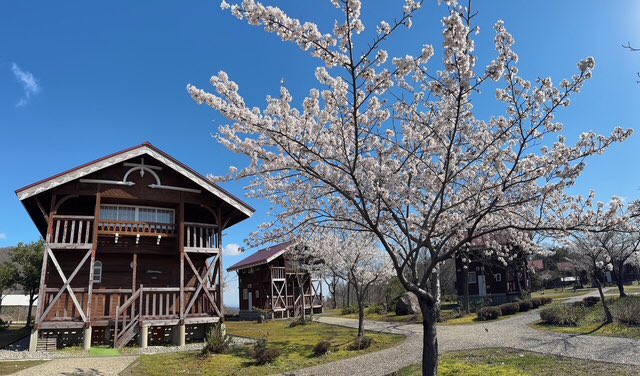 IOX_WALD's tweet photo. 春爛漫🌸
ヴァルトの桜も咲きました🌸
満開もまだなので、見頃はもう少し続きそう🩷
今週末土日は、しゃくなげ展💐
お花見に是非お越しください🚗
GWも空室残りわずか🈳
五箇山合掌造り⛰️、砺波チューリップ🌷、氷見雨晴🌊、金沢兼六園🏯にもアクセス良き自然豊かなコテージで泊まろ🍀
BBQ🍖も受付中😊 https://t.co/nlROP48D6a